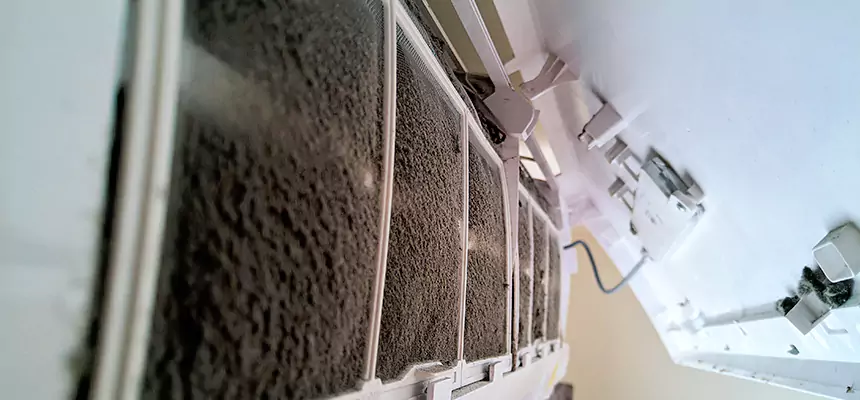 Preventive Air Duct Bacteria Removal in Eden Prairie