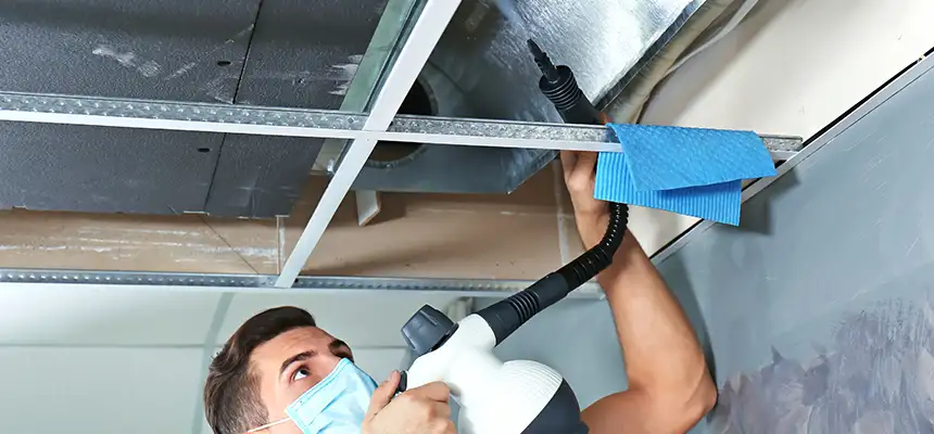 Our Air Duct Rodent Removal Services in Eden Prairie, MN