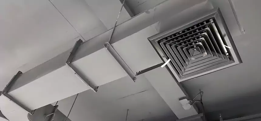 Restorative Allergy Relief Vent Cleaning – Coil, Blower & Housing Detail in Eden Prairie