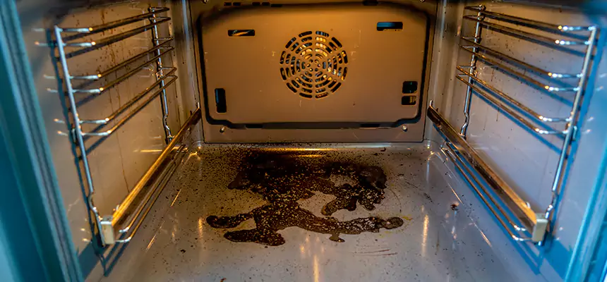 Our Dryer Vent Mold Cleaning Services in Eden Prairie, MN