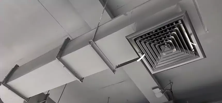 Our Pest Removal From Ducts Services in Eden Prairie, MN