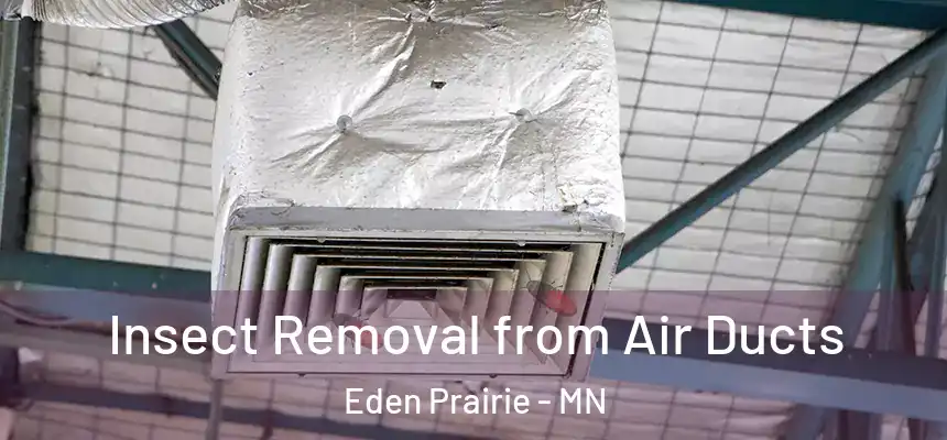  Insect Removal from Air Ducts Eden Prairie - MN