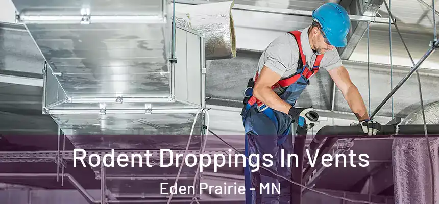  Rodent Droppings In Vents Eden Prairie - MN
