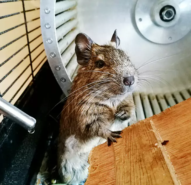 Why Homeowners & Businesses Trust Us Eden Prairie, MN?